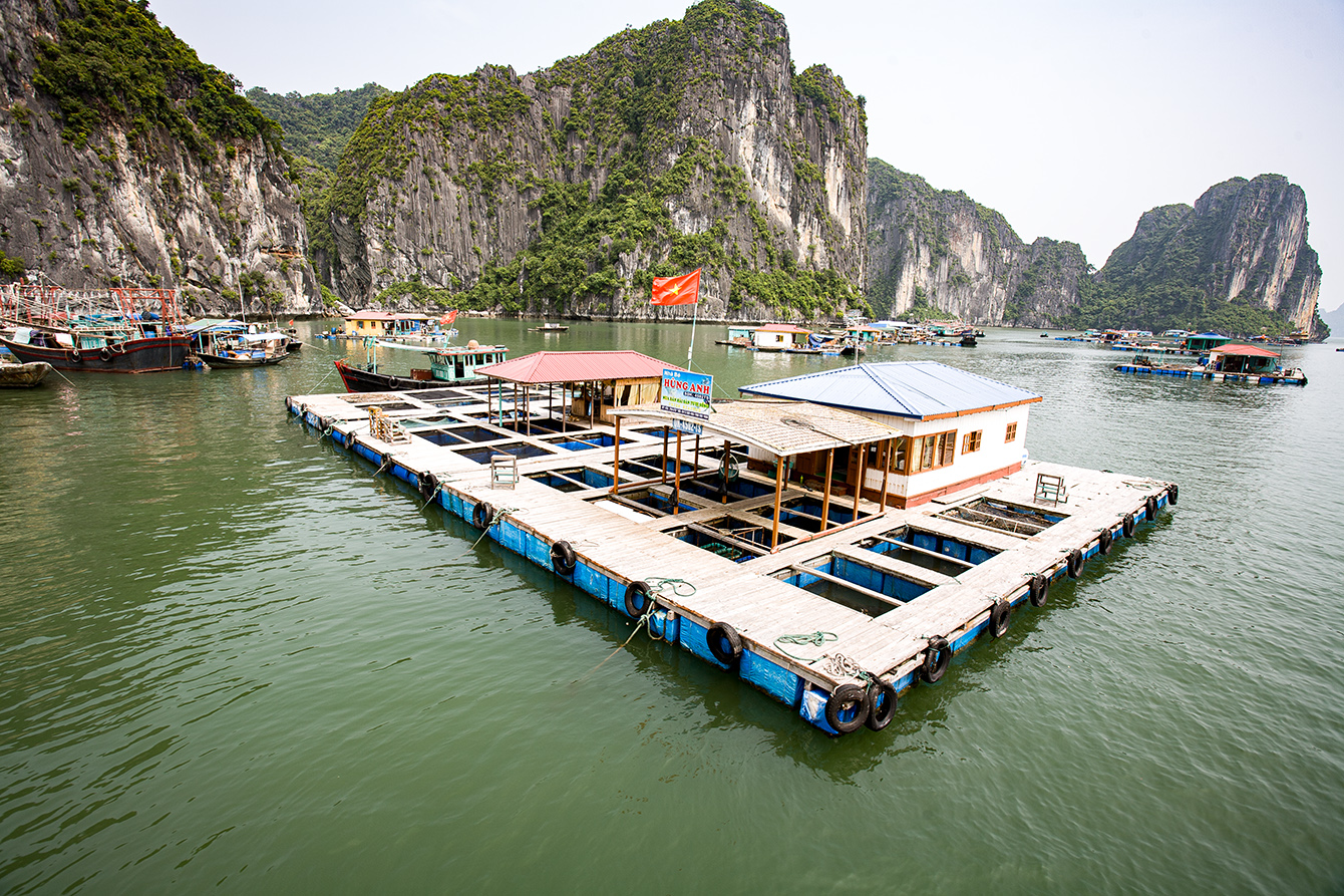 Baie d'Halong   006